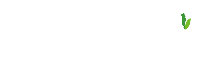 realize-project_logo_white1.png